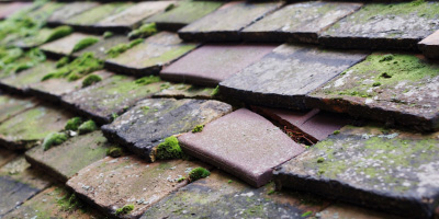 Brockweir roof repair costs